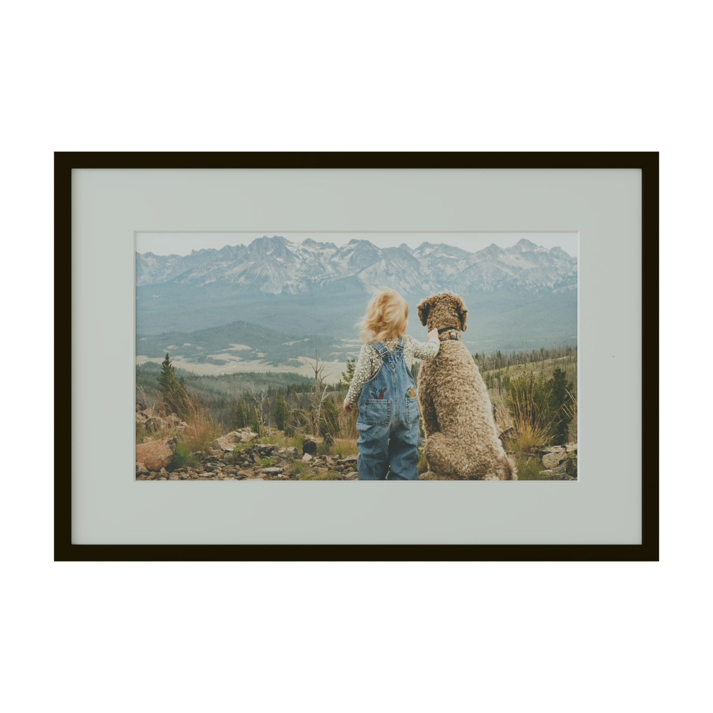 Large Canvas