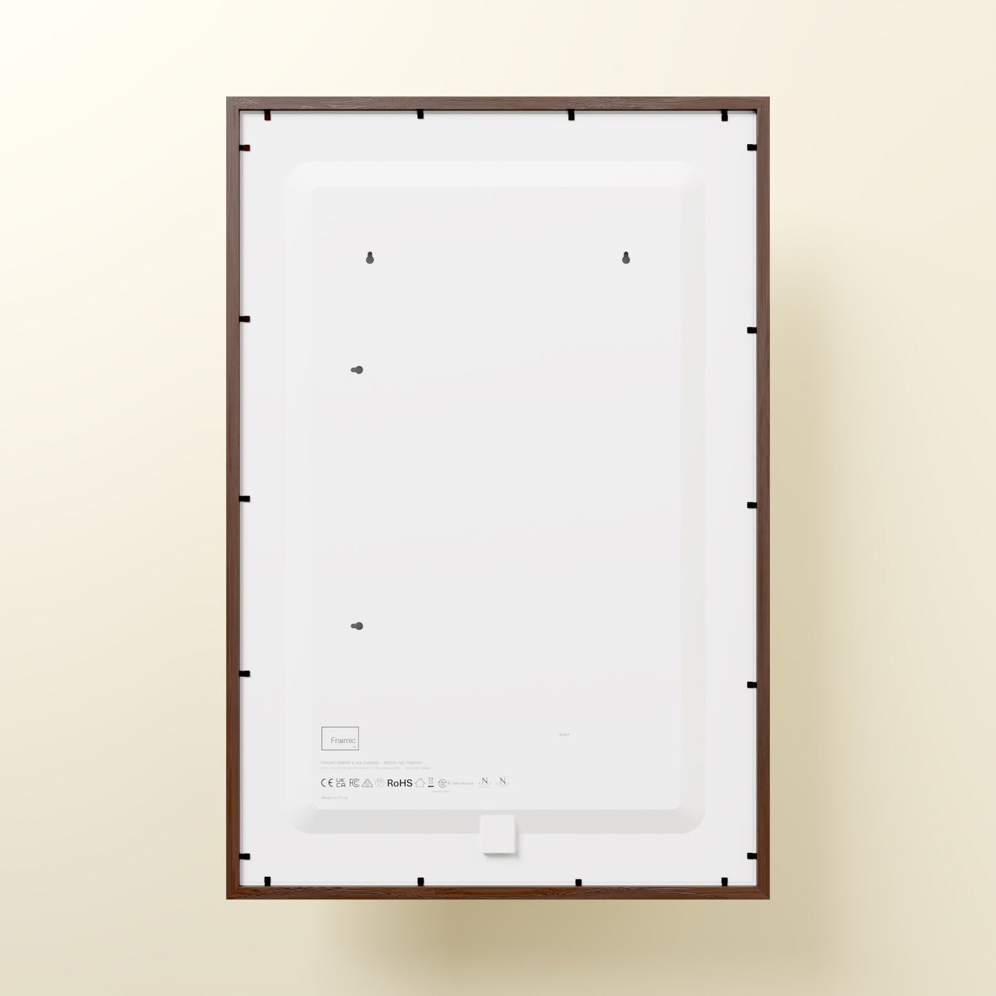 Large Canvas